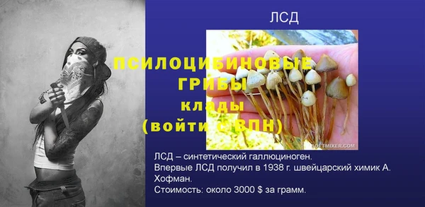 соль ск Осинники