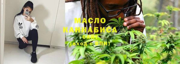 индика Богородск