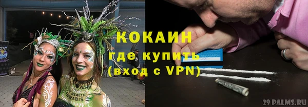 ешки Пересвет